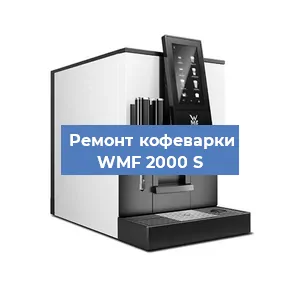 Чистка кофемашины WMF 2000 S от накипи в Челябинске